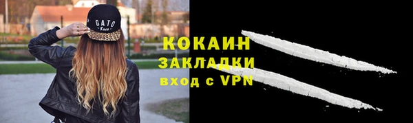 молекула духа Белокуриха