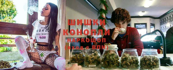 молекула духа Белокуриха